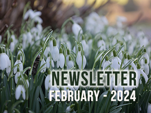 February